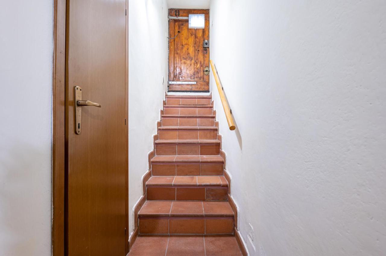 University And San Marco Cozy Apartment Firenze Eksteriør billede